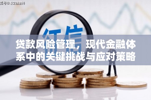 太麻里贷款风险管理，现代金融体系中的关键挑战与应对策略
