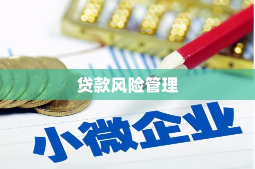 太麻里贷款风险管理