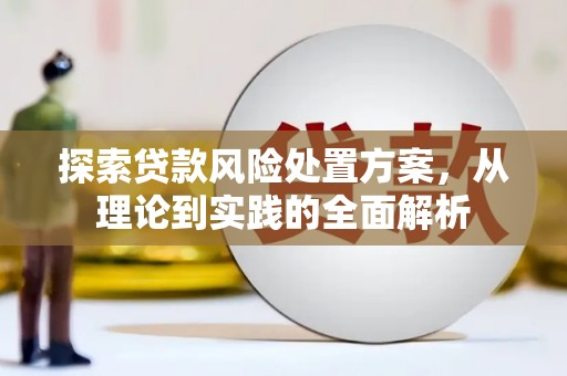 太麻里探索贷款风险处置方案，从理论到实践的全面解析