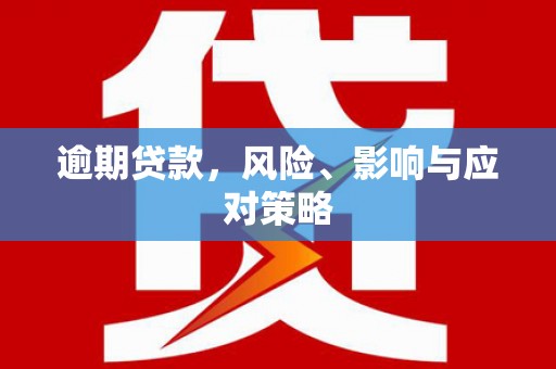 太麻里逾期贷款，风险、影响与应对策略