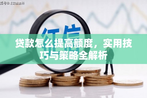 太麻里贷款怎么提高额度，实用技巧与策略全解析