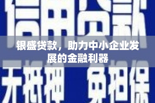太麻里银盛贷款，助力中小企业发展的金融利器
