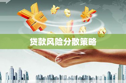 太麻里贷款风险分散策略
