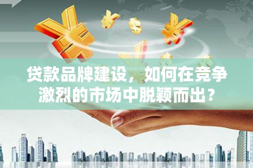 太麻里贷款品牌建设，如何在竞争激烈的市场中脱颖而出？