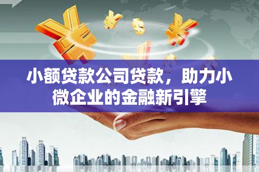 太麻里小额贷款公司贷款，助力小微企业的金融新引擎