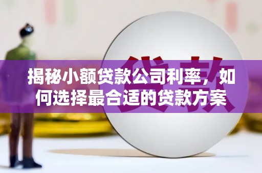 太麻里揭秘小额贷款公司利率，如何选择最合适的贷款方案