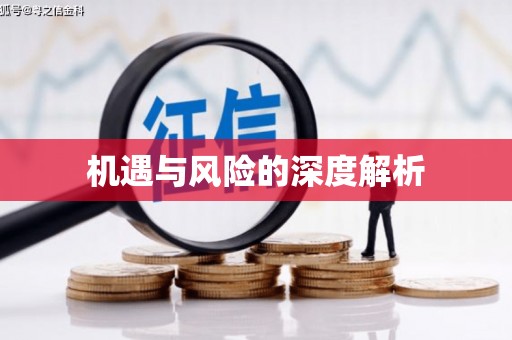 太麻里机遇与风险的深度解析