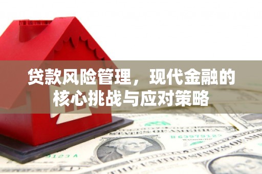 太麻里贷款风险管理，现代金融的核心挑战与应对策略