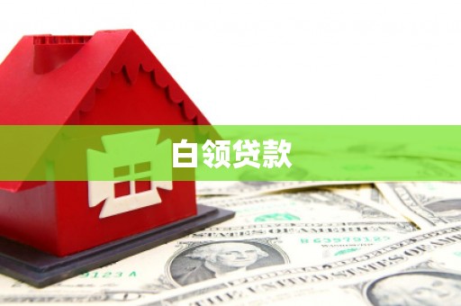 太麻里白领贷款