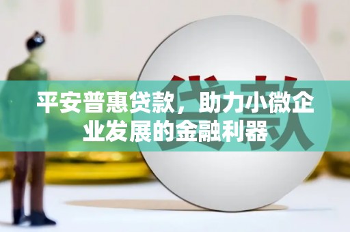 太麻里平安普惠贷款，助力小微企业发展的金融利器