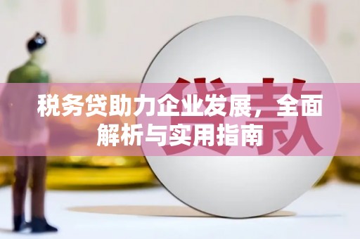 太麻里税务贷助力企业发展，全面解析与实用指南