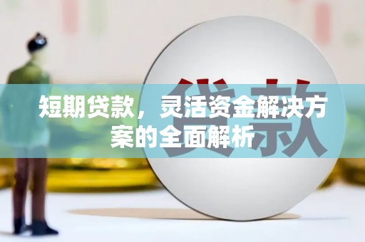太麻里短期贷款，灵活资金解决方案的全面解析