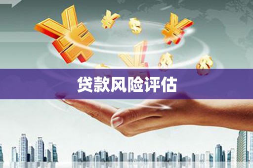 太麻里贷款风险评估