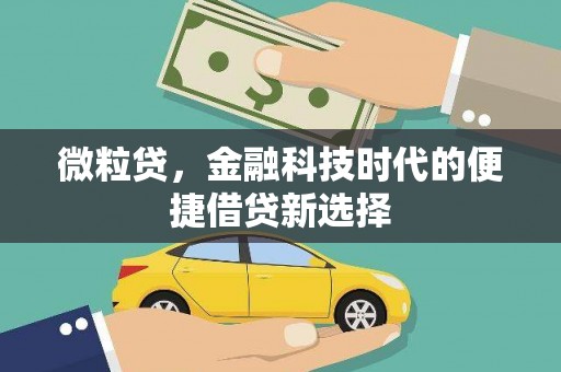 太麻里微粒贷，金融科技时代的便捷借贷新选择