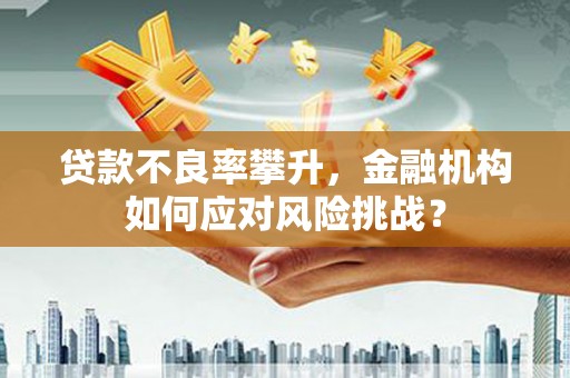 太麻里贷款不良率攀升，金融机构如何应对风险挑战？