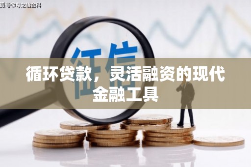 太麻里循环贷款，灵活融资的现代金融工具