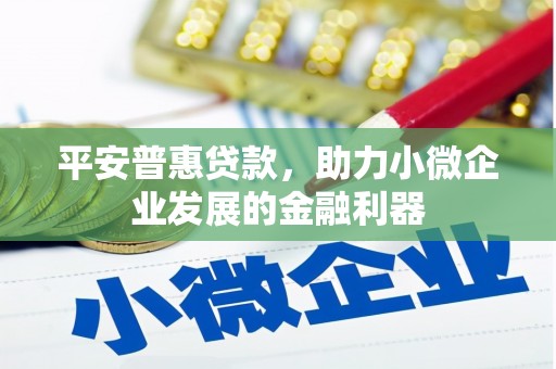 太麻里平安普惠贷款，助力小微企业发展的金融利器