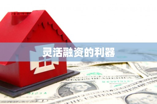 太麻里灵活融资的利器