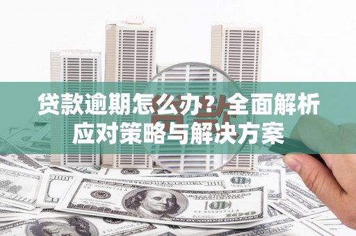 太麻里贷款逾期怎么办？全面解析应对策略与解决方案