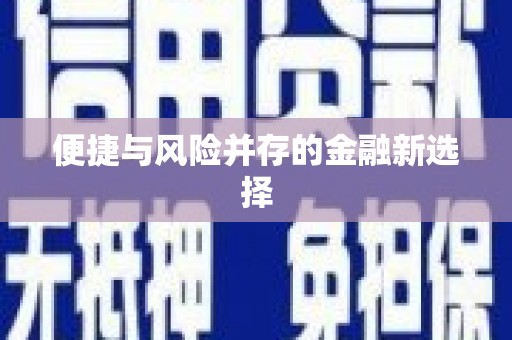 太麻里便捷与风险并存的金融新选择