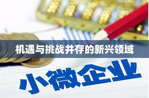 太麻里机遇与挑战并存的新兴领域