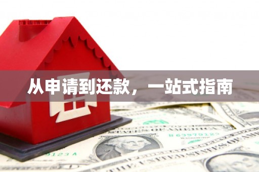 太麻里从申请到还款，一站式指南