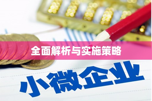 太麻里全面解析与实施策略