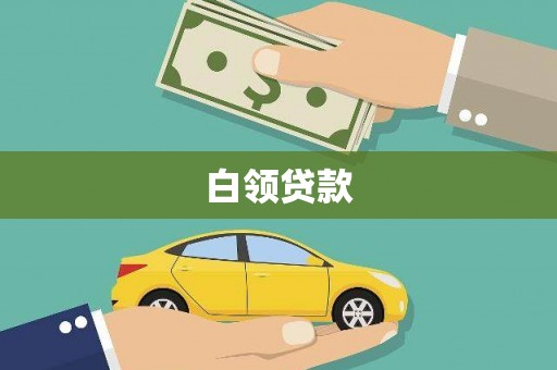 太麻里白领贷款