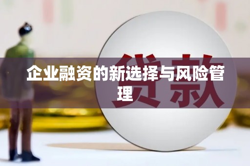 太麻里企业融资的新选择与风险管理