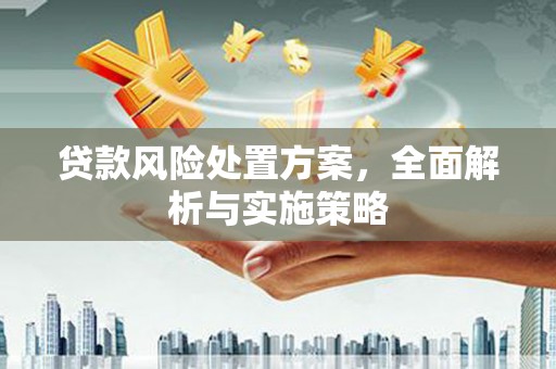 太麻里贷款风险处置方案，全面解析与实施策略