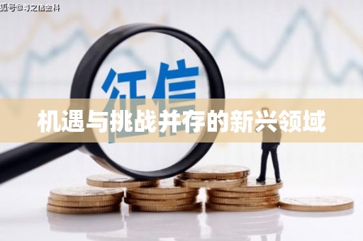 太麻里机遇与挑战并存的新兴领域
