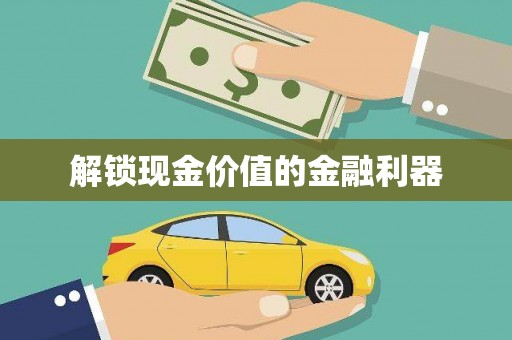 太麻里解锁现金价值的金融利器