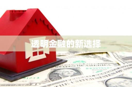太麻里透明金融的新选择