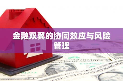 太麻里金融双翼的协同效应与风险管理