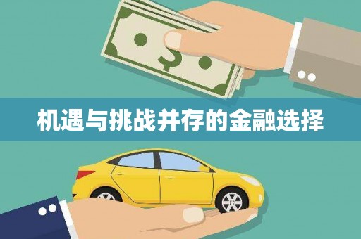 太麻里机遇与挑战并存的金融选择