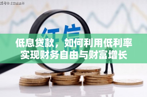 太麻里低息贷款，如何利用低利率实现财务自由与财富增长