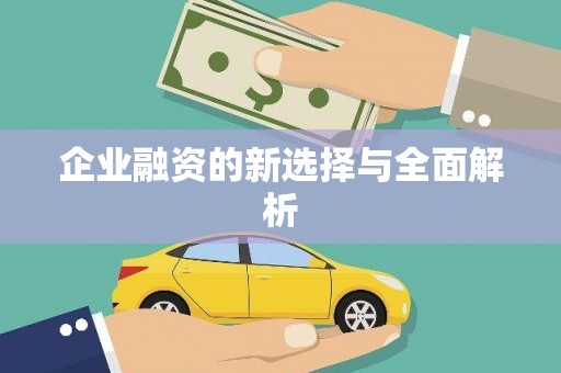 太麻里企业融资的新选择与全面解析