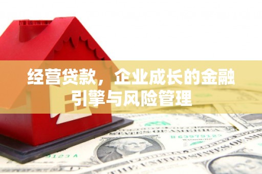 太麻里经营贷款，企业成长的金融引擎与风险管理