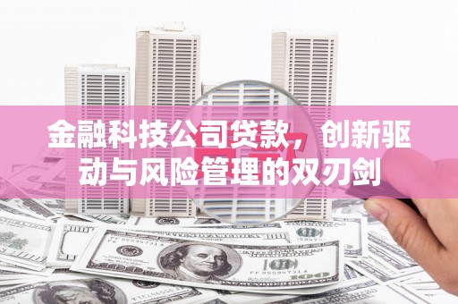 太麻里金融科技公司贷款，创新驱动与风险管理的双刃剑