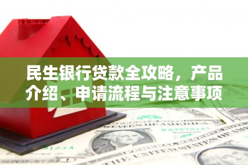 太麻里民生银行贷款全攻略，产品介绍、申请流程与注意事项